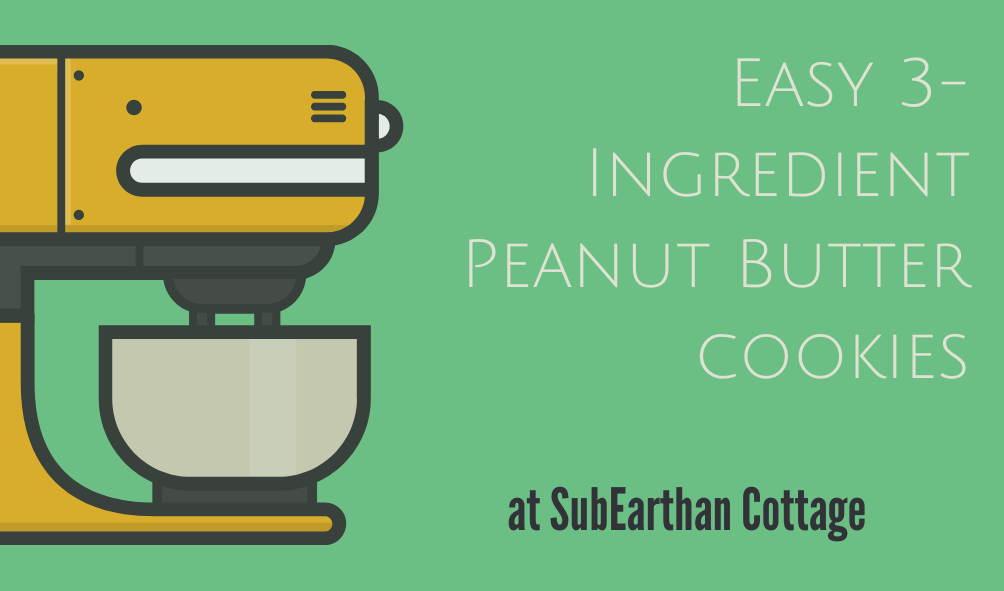 Easy 3-ingredient Peanut Butter cookies